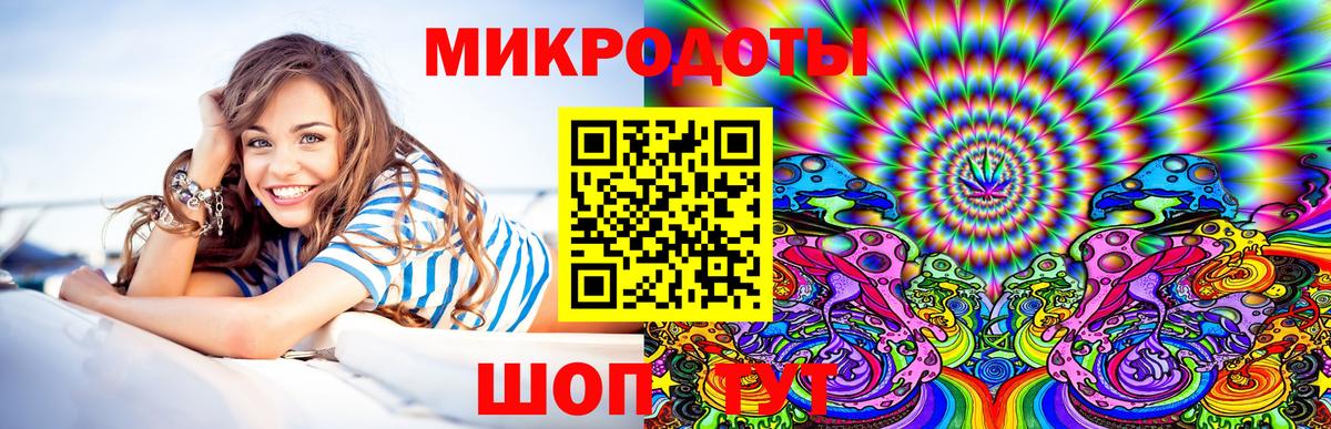 Галлюциногенные грибы Psilocybine cubensis Батайск